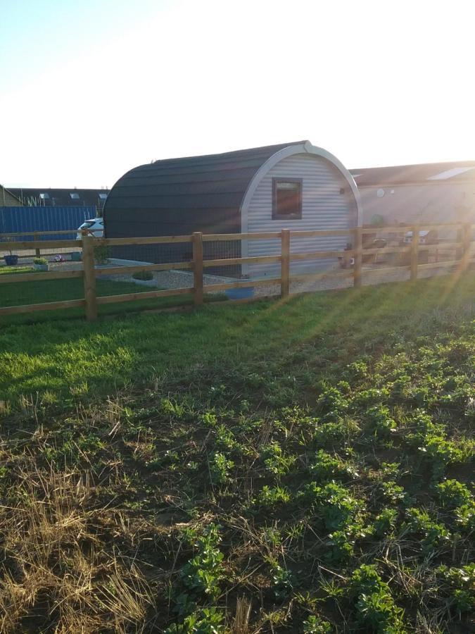 Heated Supersize Glamping Pod With Ensuite Bathroom, Wilburton, Nr Ely, Cambs Exterior photo